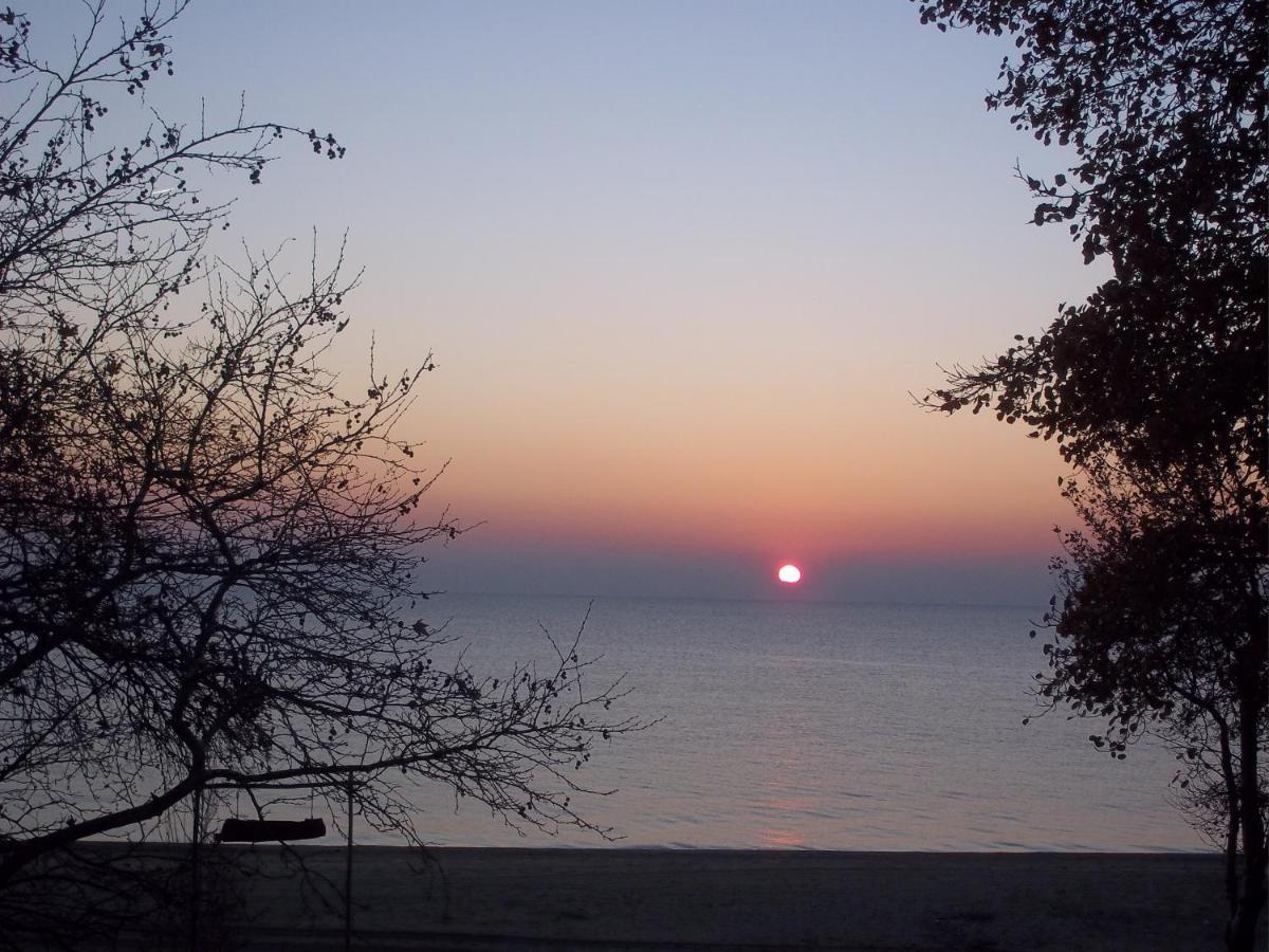 Kleanthis Blue Apartment Nea Vrasna Bagian luar foto
