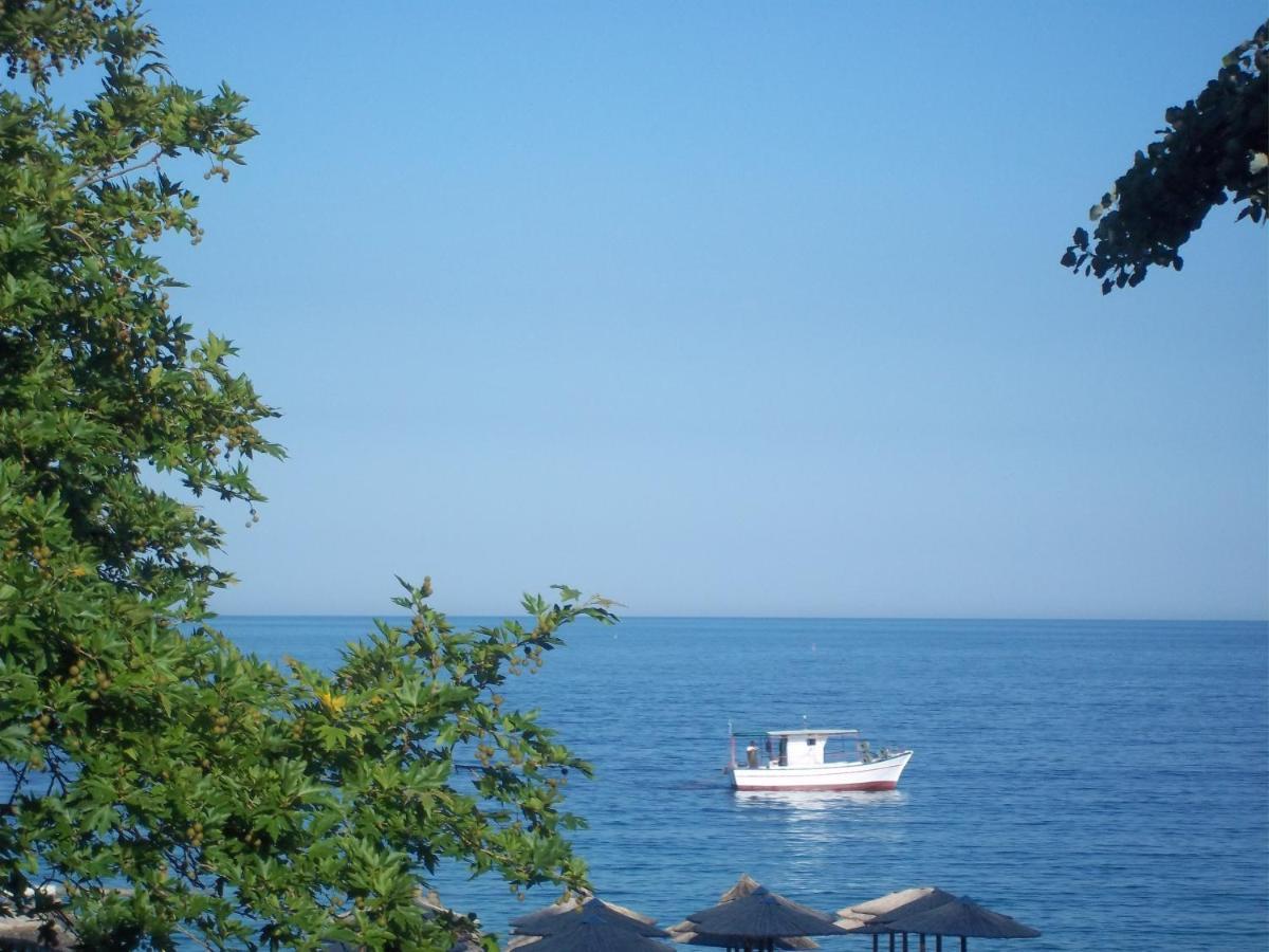 Kleanthis Blue Apartment Nea Vrasna Bagian luar foto